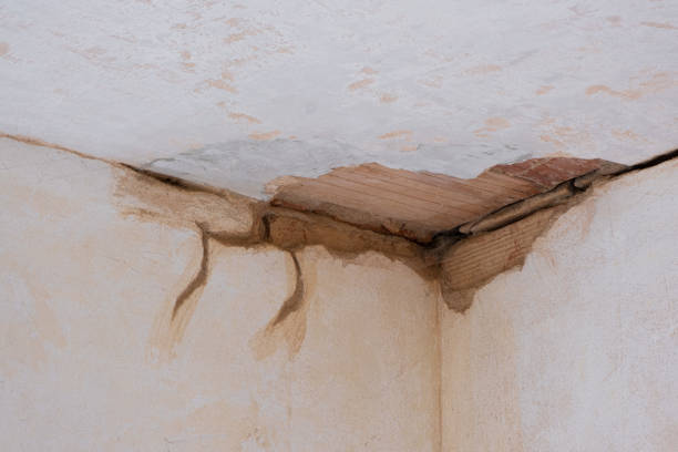 Water damage restoration experts in Faison, NC