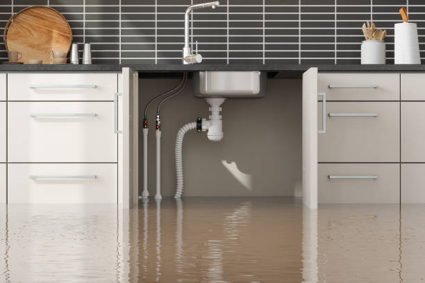 Best Emergency water damage restoration  in Faison, NC
