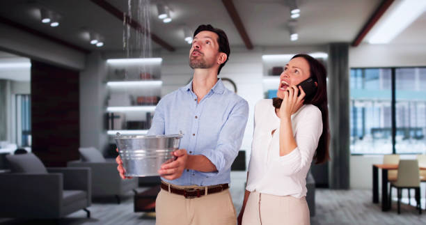 Best Basement water damage restoration  in Faison, NC