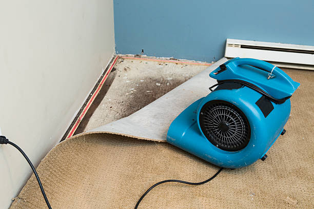 Trusted Faison, NC Water damage restoration Experts